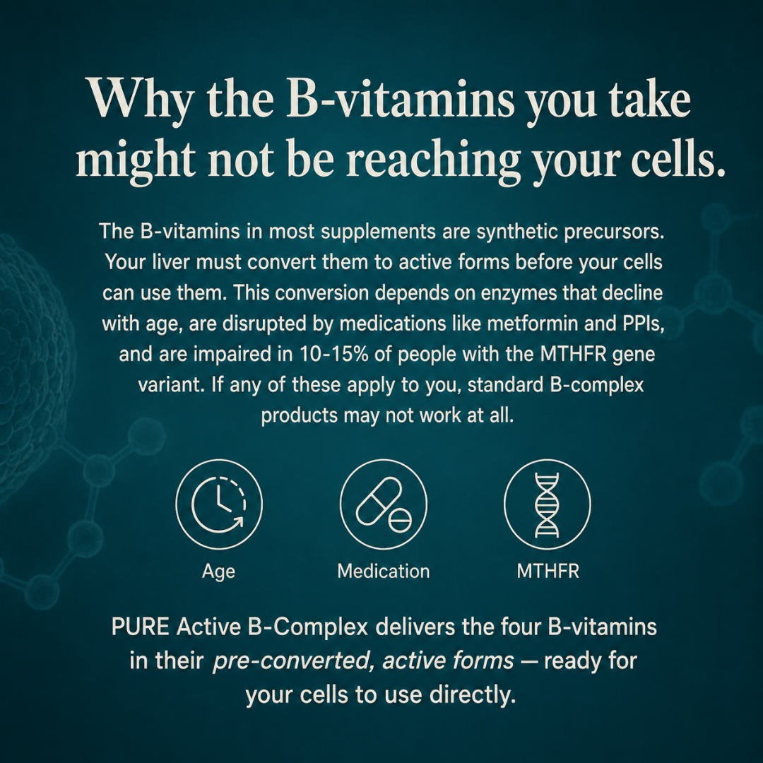 Vitamin B Complex