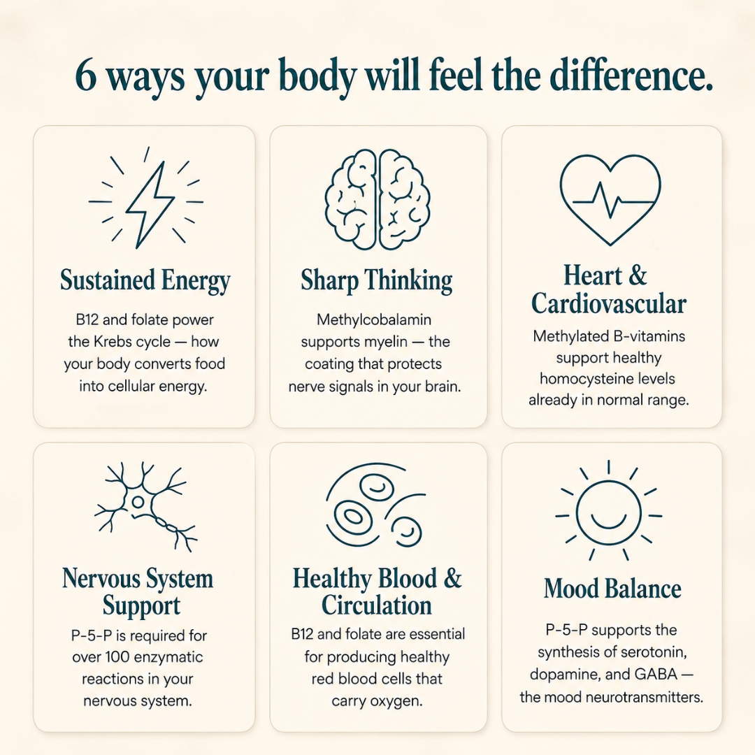 Vitamin B Complex