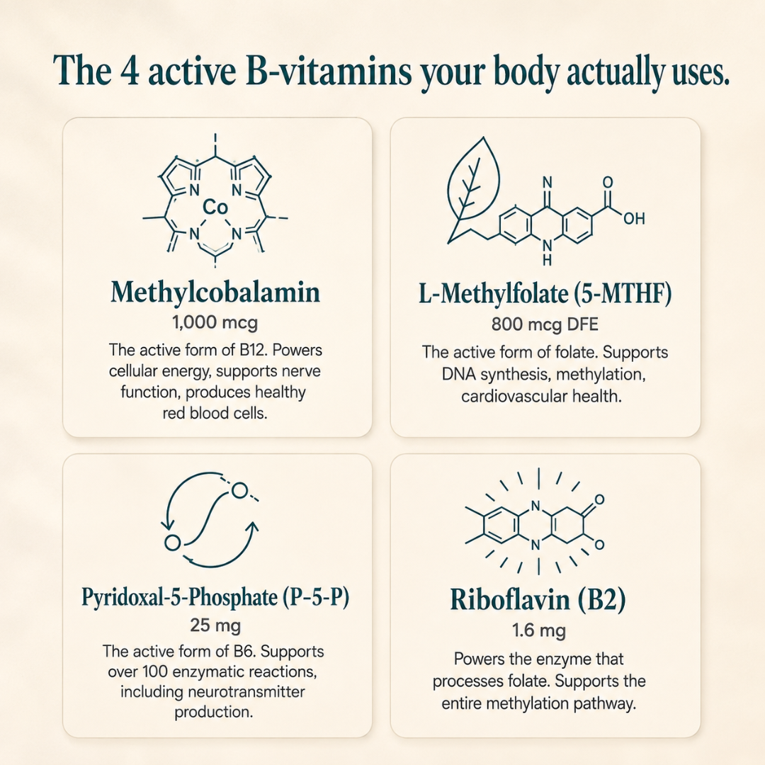 Vitamin B Complex